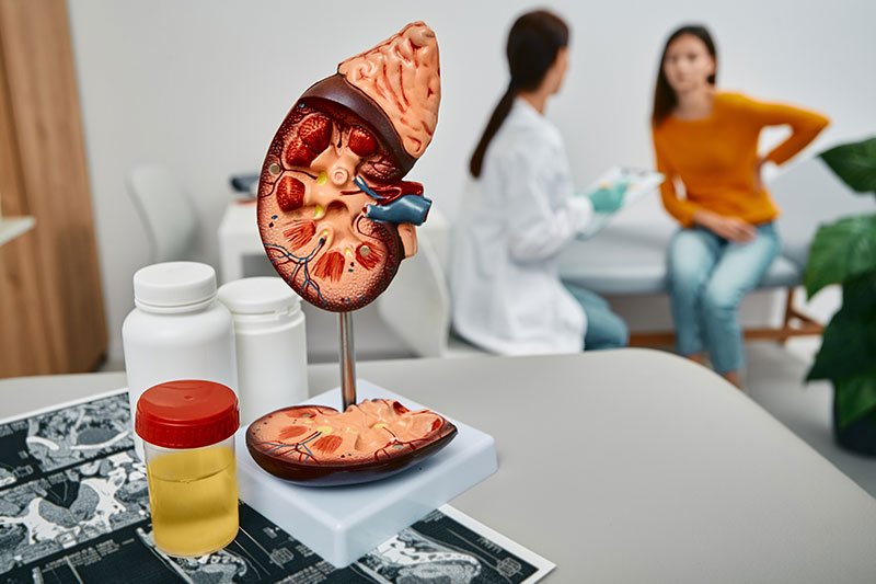 Médico y paciente en consulta, revisando ultrasonido de riñón